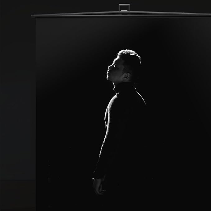 【Easy Set Up】 RAUBAY 59.8 x 82.7in Collapsible Black Backdrop Screen Portable Retractable Panel Photo Background with Stand for Video Conference, Photographic Studio, Streaming